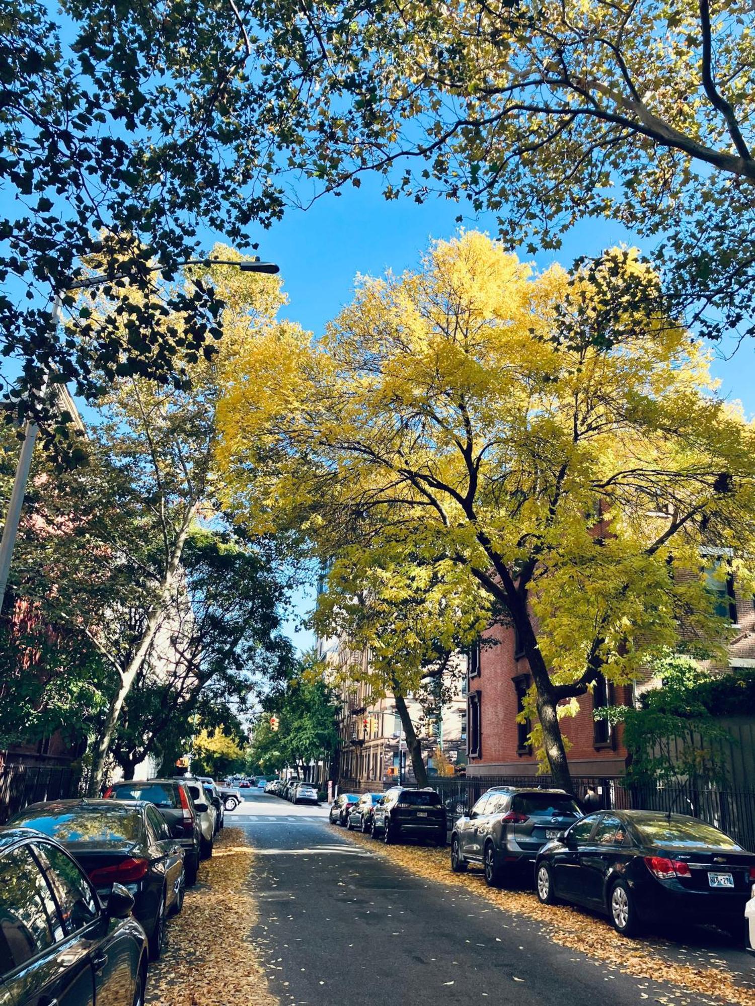 Harlem Grand Bed & Breakfast New York Luaran gambar